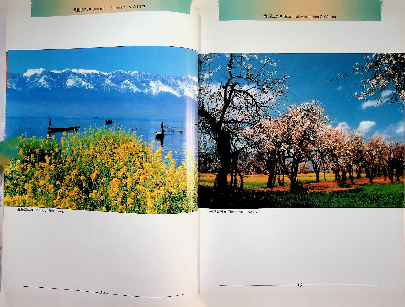 THE HOMETOWN OF GOLDEN FLOWERS