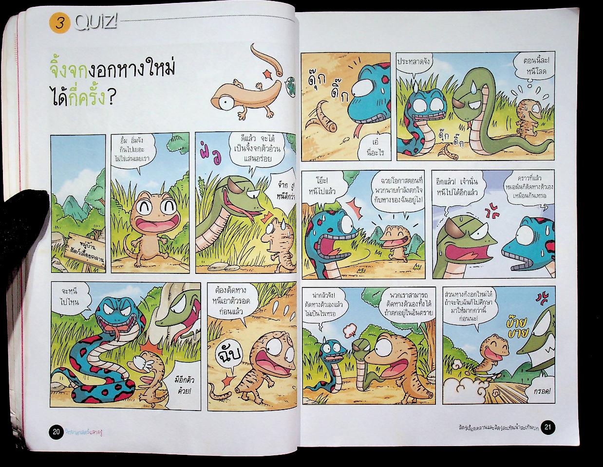 วิทยาศาสตร์ฉลาดรู้ เรื่อง สัตว์เลื้อยคลานและสัตว์สะเทินน้ำสะเทินบก