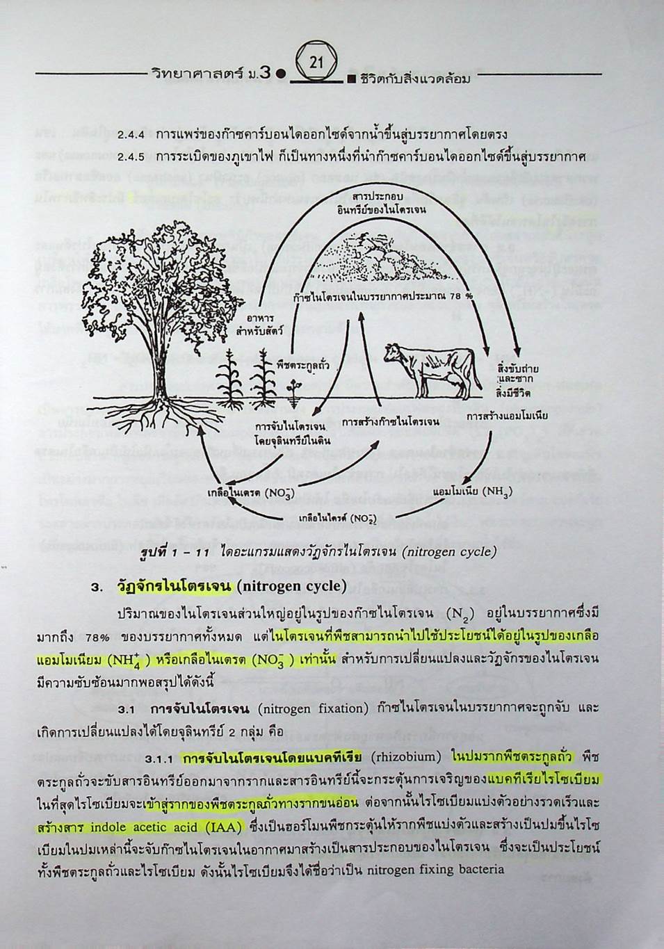 คู่มือเตรียมสอบสาระการเรียนรู้พื้นฐาน วิทยาศาสตร์ ม.3 ชีวิตกับสิ่งแวดล้อม สิ่งมีชีวิตกับกระบวนการดำรงชีวิต