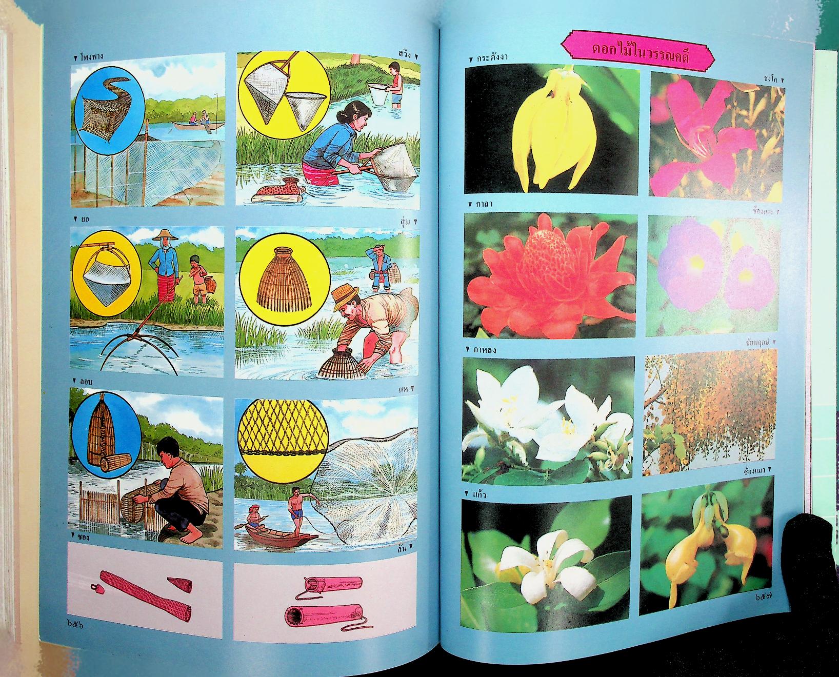 พจนานุกรม ฉบับเฉลิมพระเกียรติ พ.ศ. ๒๕๓๐