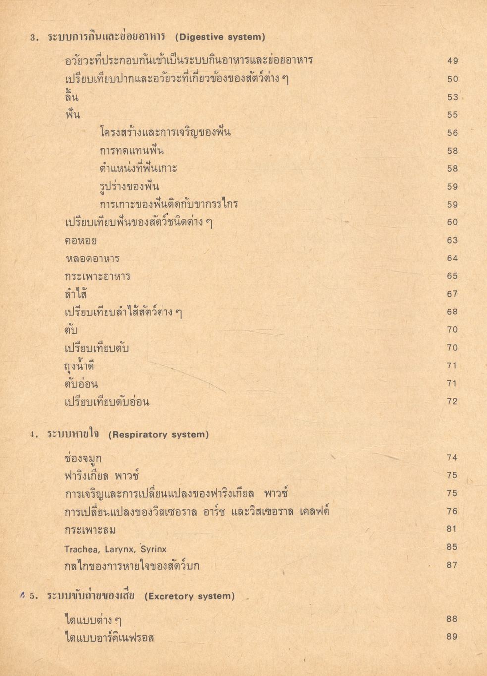 กายวิภาคศาสตร์เปรียบเทียบของคอร์เดต