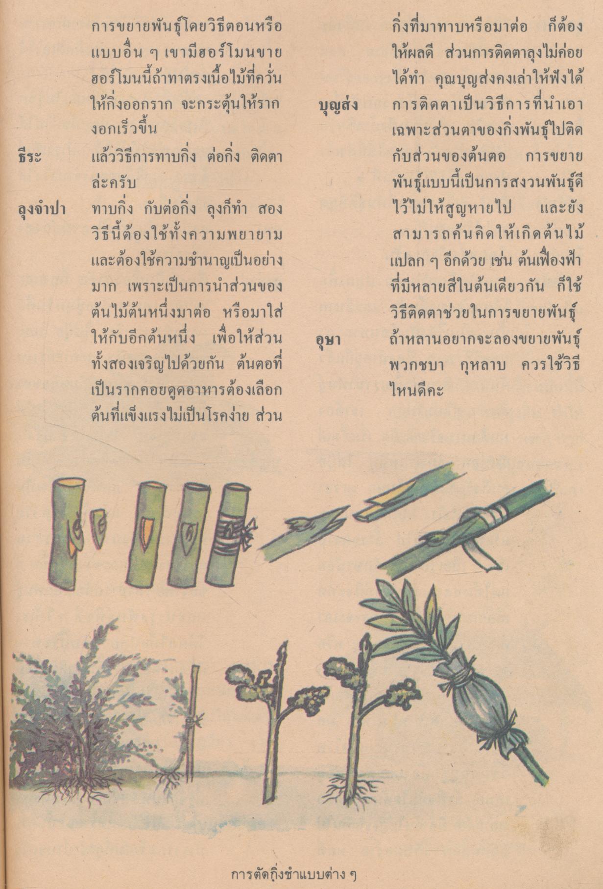 หนังสือเรียนสร้างเสริมประสบการณ์ชีวิต ชั้นประถมศึกษาปีที่ ๖ มนุษย์กับสิ่งแวดล้อม