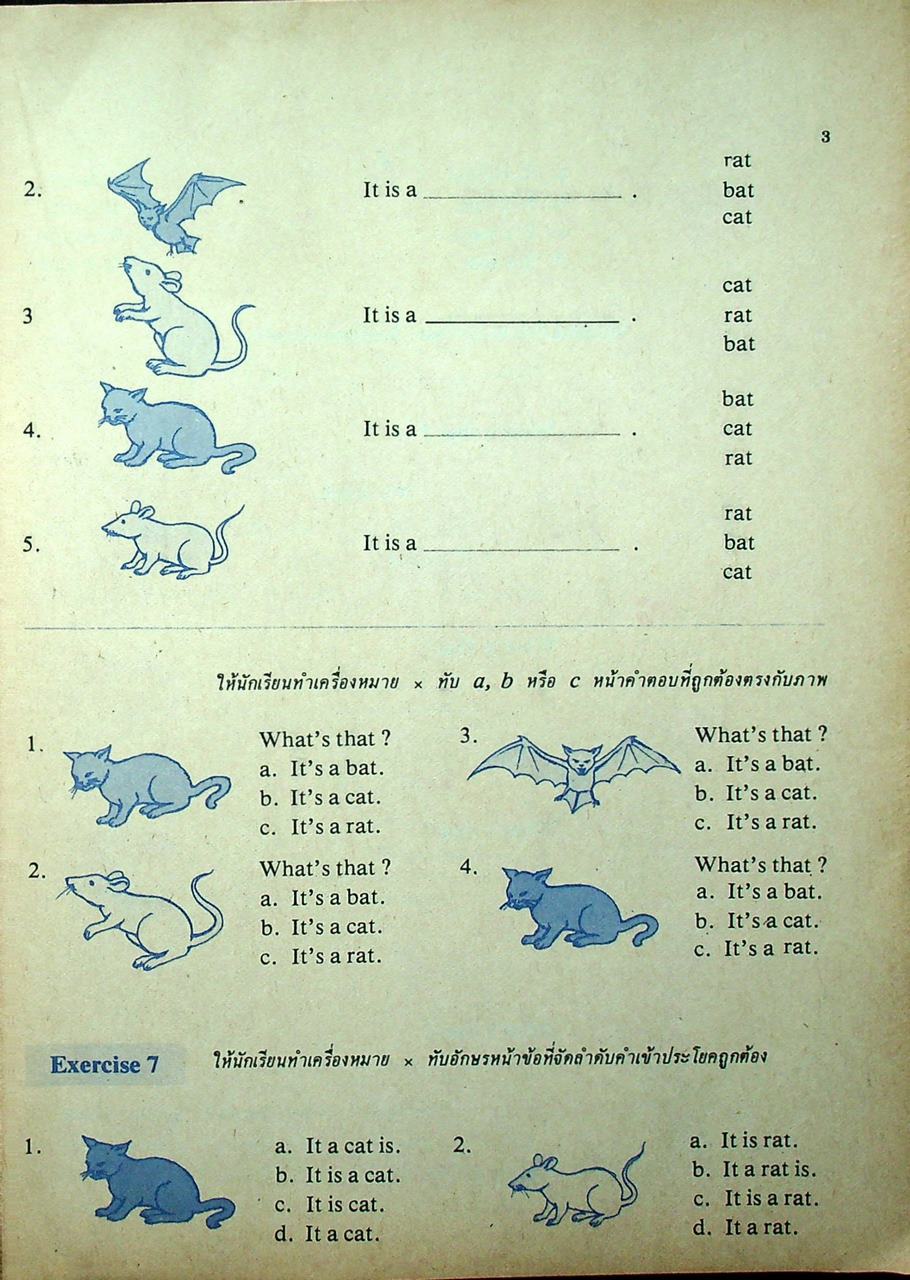 หนังสือมาตรฐาน ภาษาอังกฤษ ชั้นประถมศึกษาปีที่ 5 ฉบับพิเศษ (ไม่มีเฉลย)