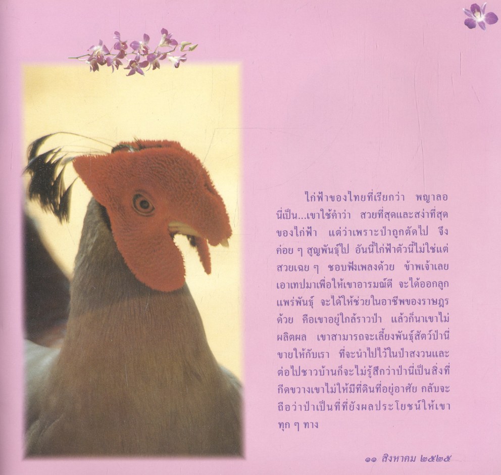 พระราชดำรัสสมเด็จพระบรมราชินีนาถ ด้านการอนุรักษ์ทรัพยากรธรรมชาติ