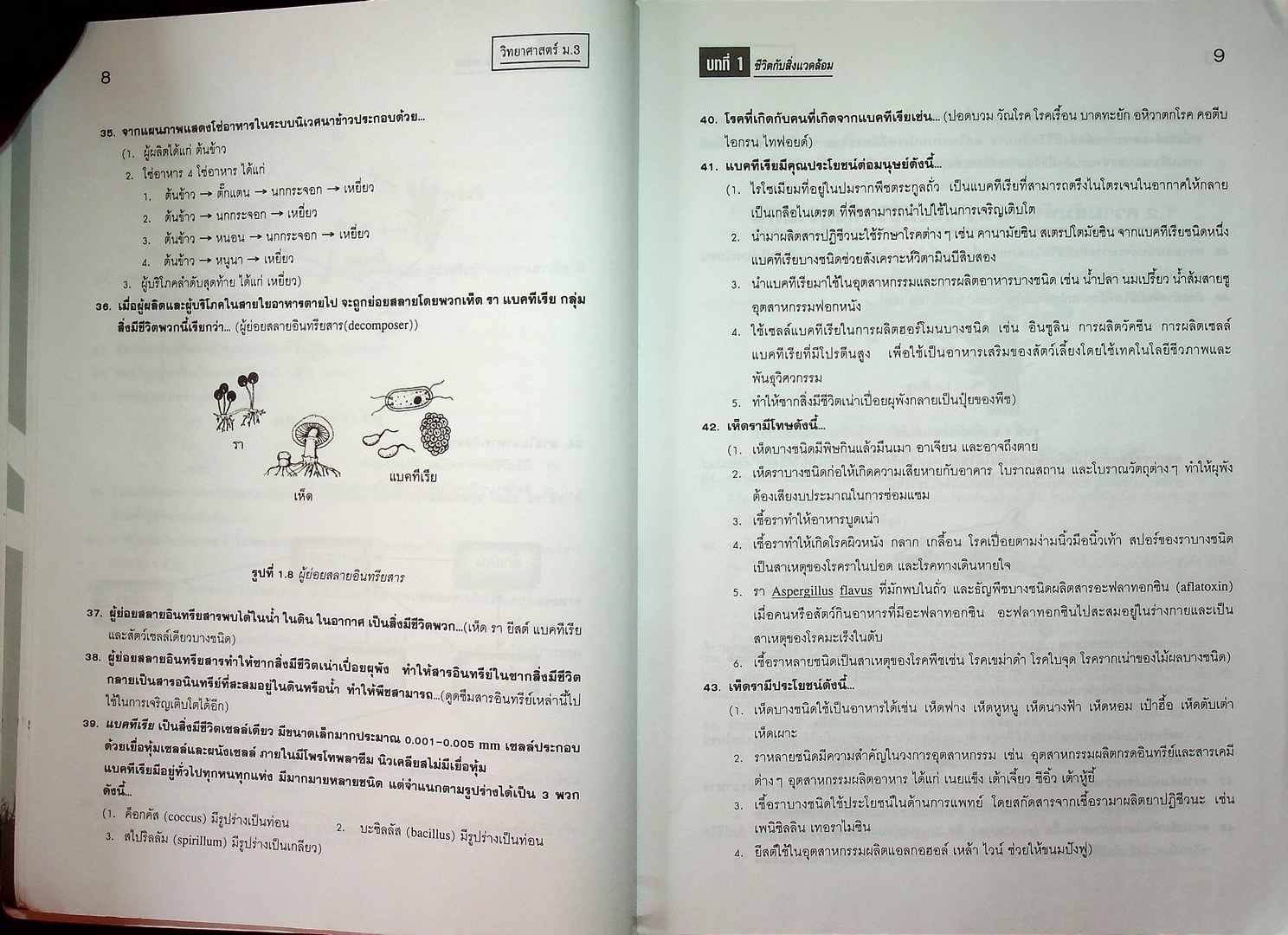 คู่มือสาระการเรียนรู้พื้นฐาน กลุ่มสาระการเรียนรู้วิทยาศาสตร์ ม.3 ชีวิตกับสิ่งแวดล้อม สิ่งมีชีวิตกับกระบวนการดำรงชีวิต