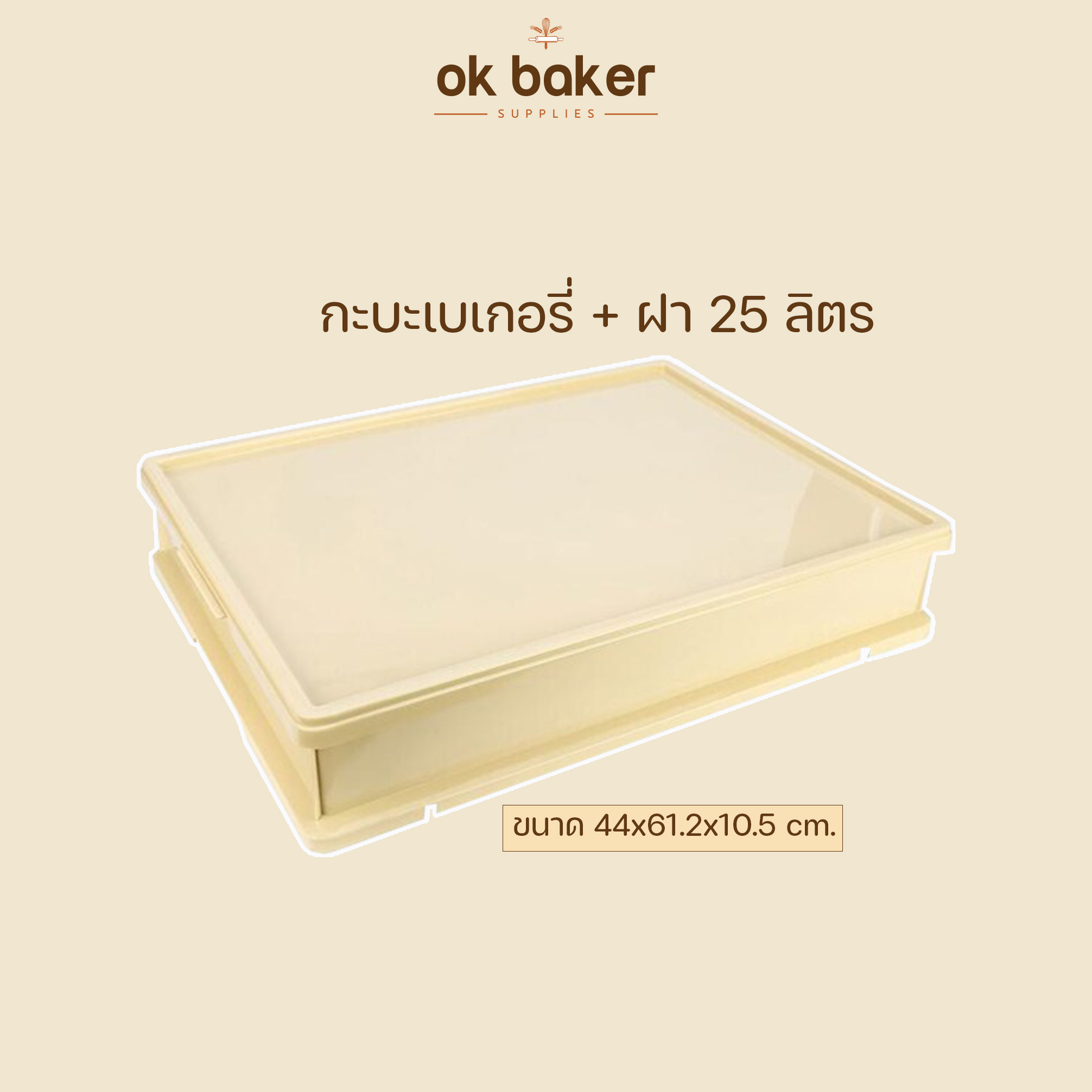 กะบะพลาสติก 25ลิตร 0 กก.