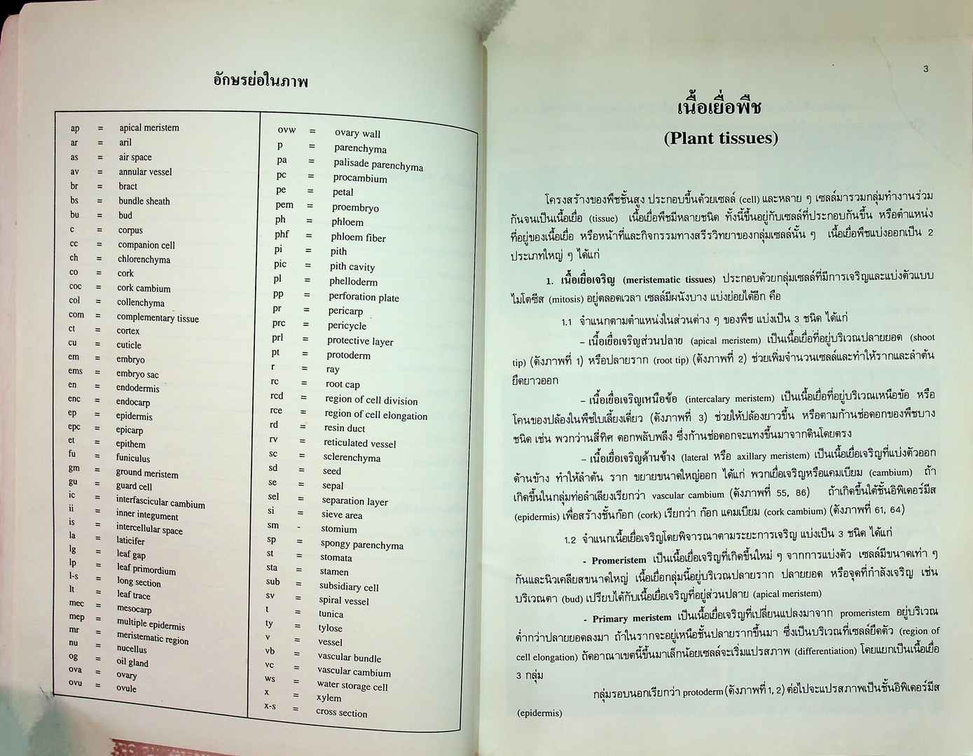 โครงสร้างภายในของพืช