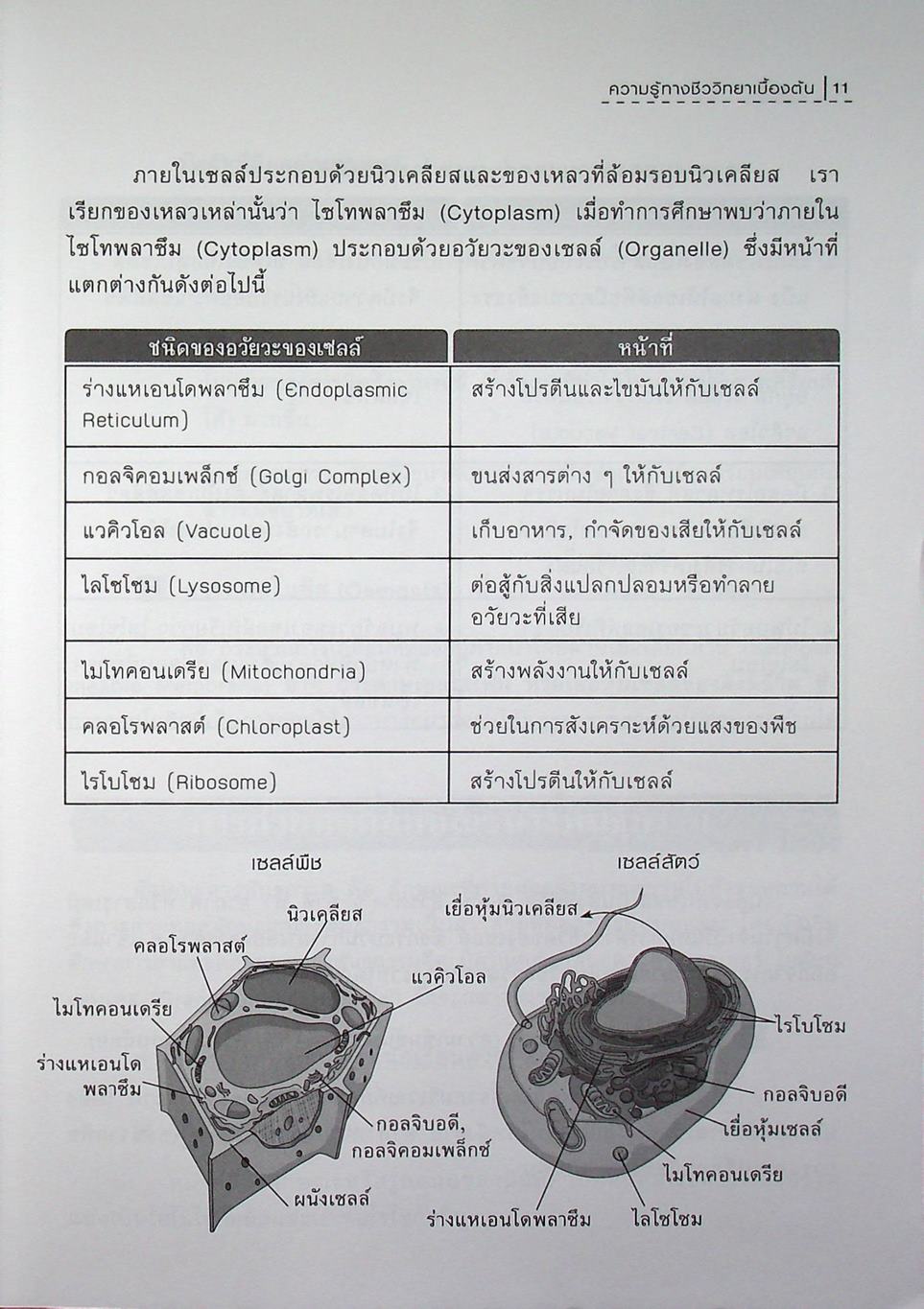 ติวเข้มวิทย์ สอบเข้า ม.1