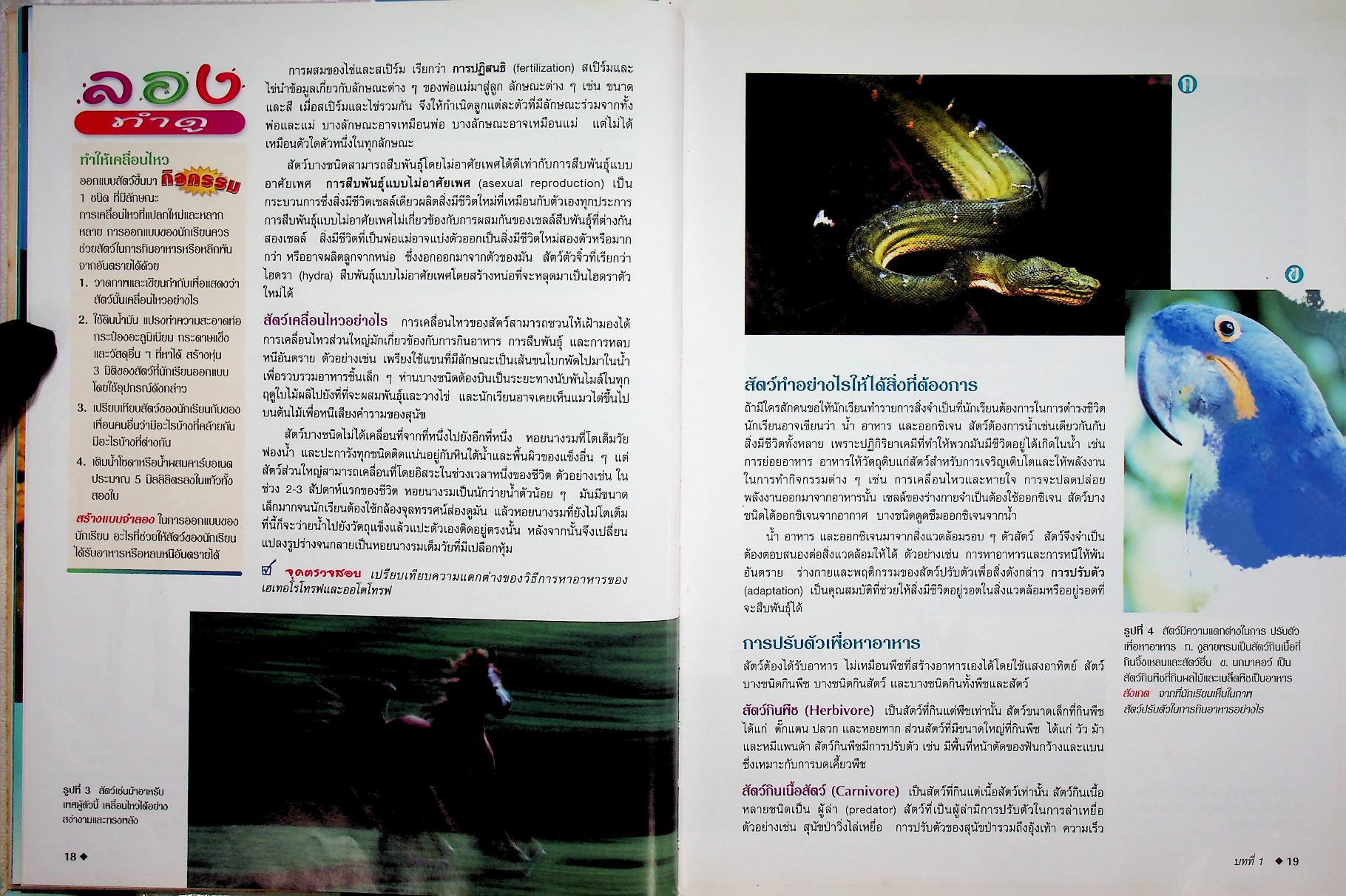 สำรวจโลกวิทยาศาสตร์ ชีวิตสัตว์โลก