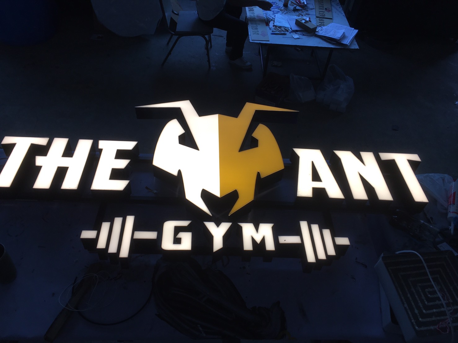 ป้ายตัวอักษรและโลโก้ออกไฟแอลอีดี งาน THE ANT GYM