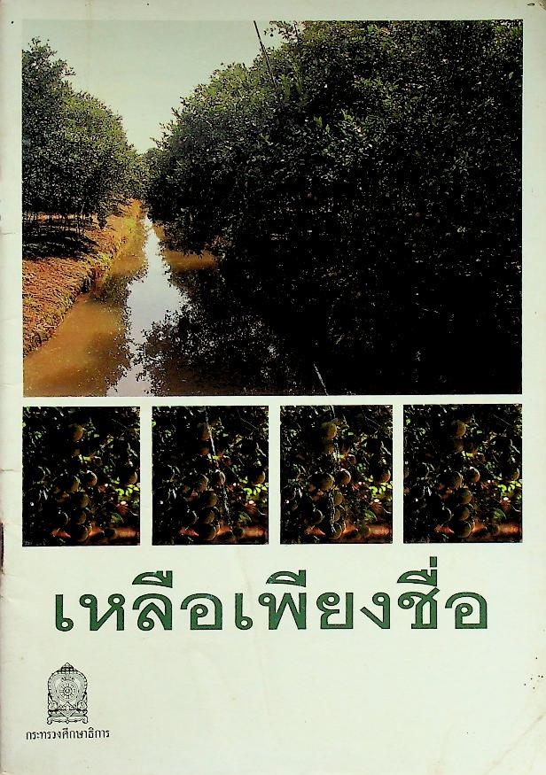 หนังสือเสริมประสบการณ์ เหลือเพียงชื่อ
