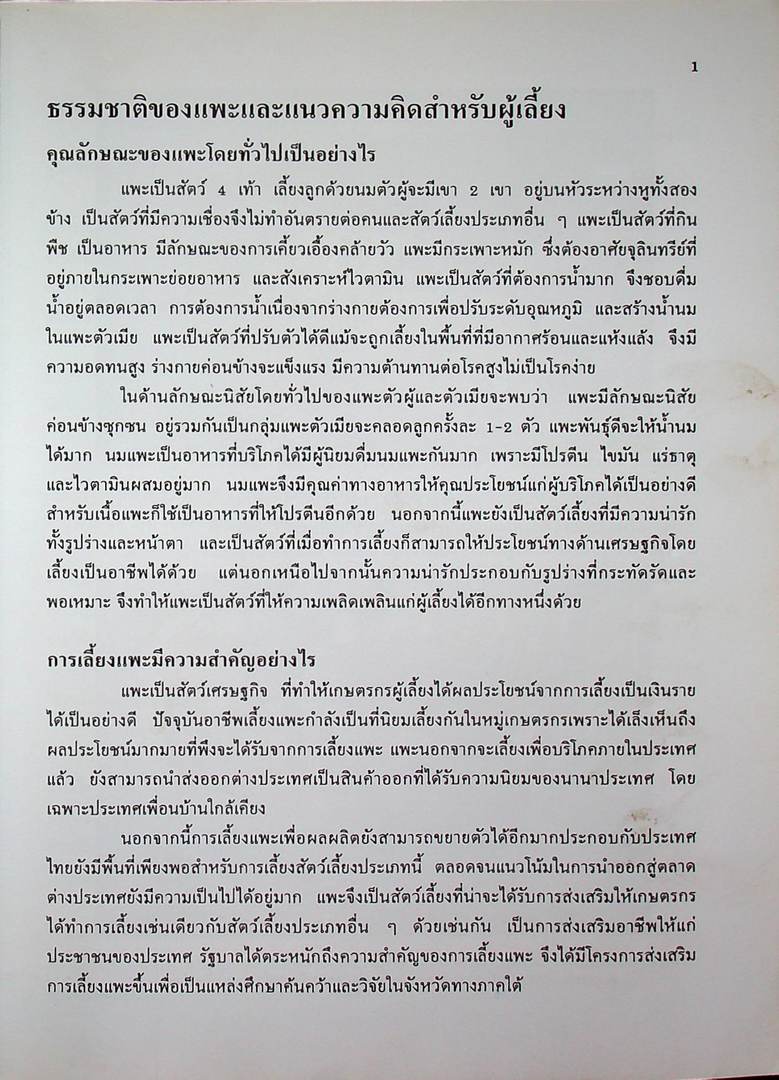 เกษตรธุรกิจครัวเรือน แพะ เลี้ยงง่าย ได้ราคา