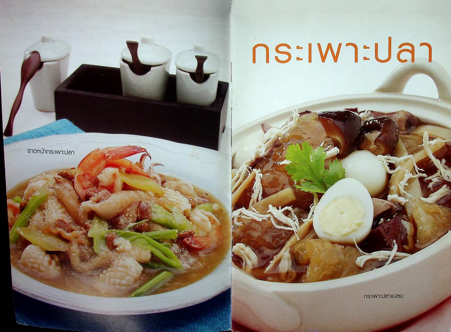 กระเพาะปลา