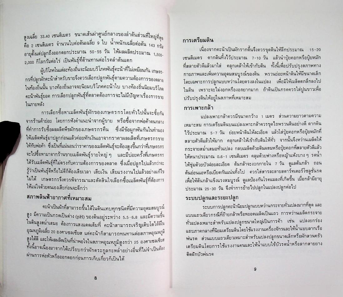 ผักกินใบ