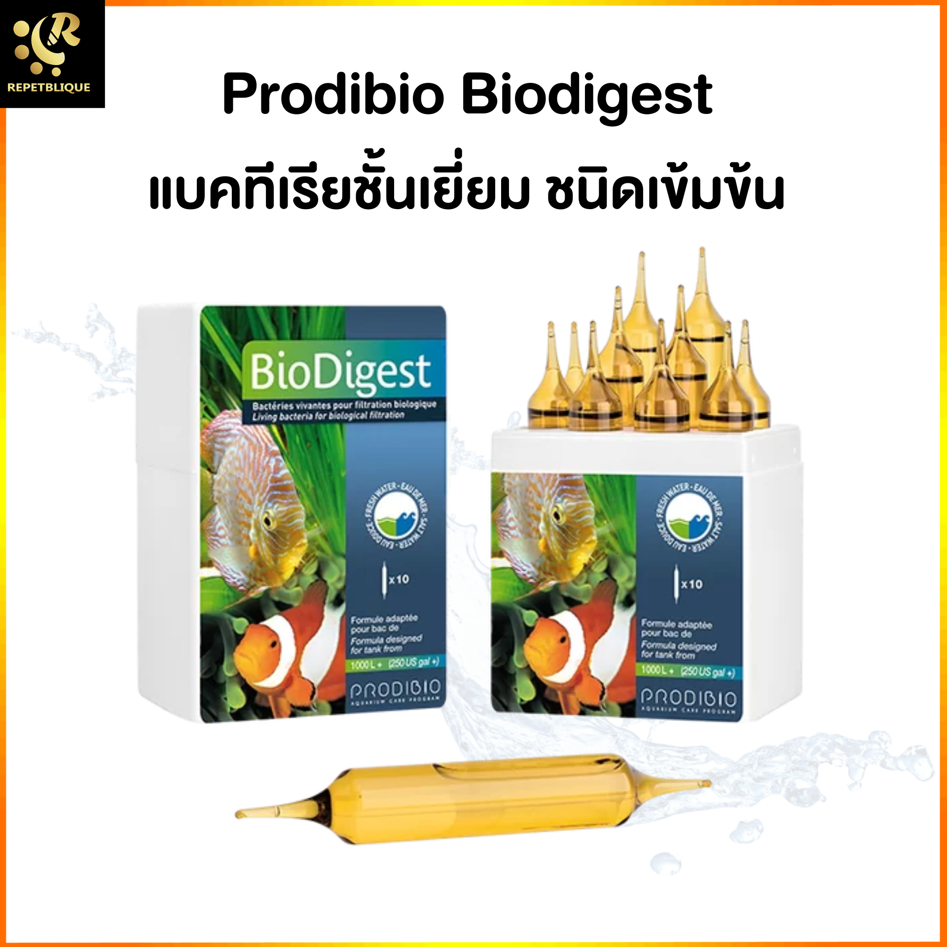 Prodibio BioDigest แบคทีเรีย น้ำใส ช่วยน้ำใส เซ็ตระบบ ลดของเสีย แอมโมเนีย ไนเตรท ไนไตร ไบโอไดเจท คุณภาพดีจากฝรั่งเศส แบคทีเรียน้ำ