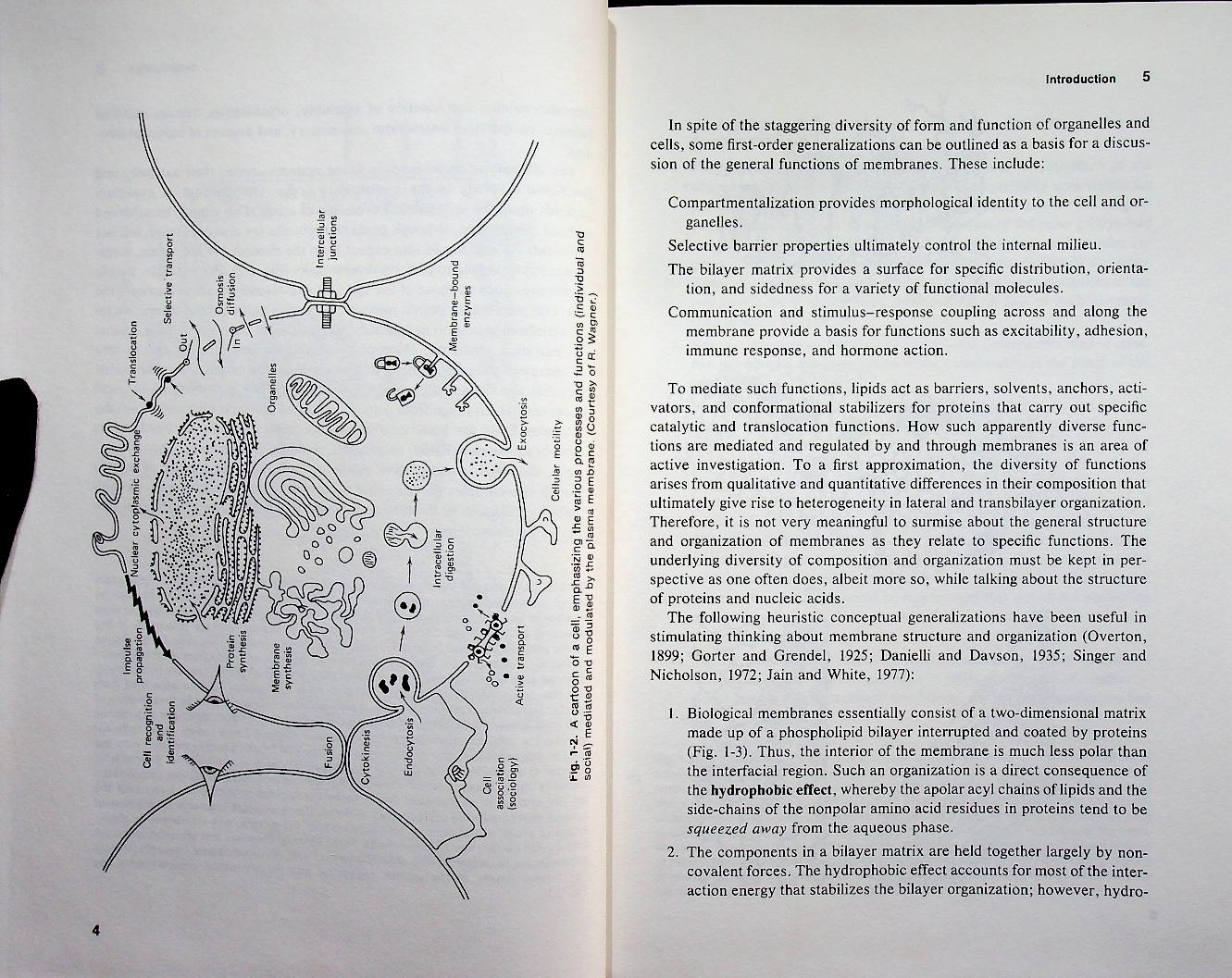 INTRODUCTION TO BIOLOGICAL MEMBRANES