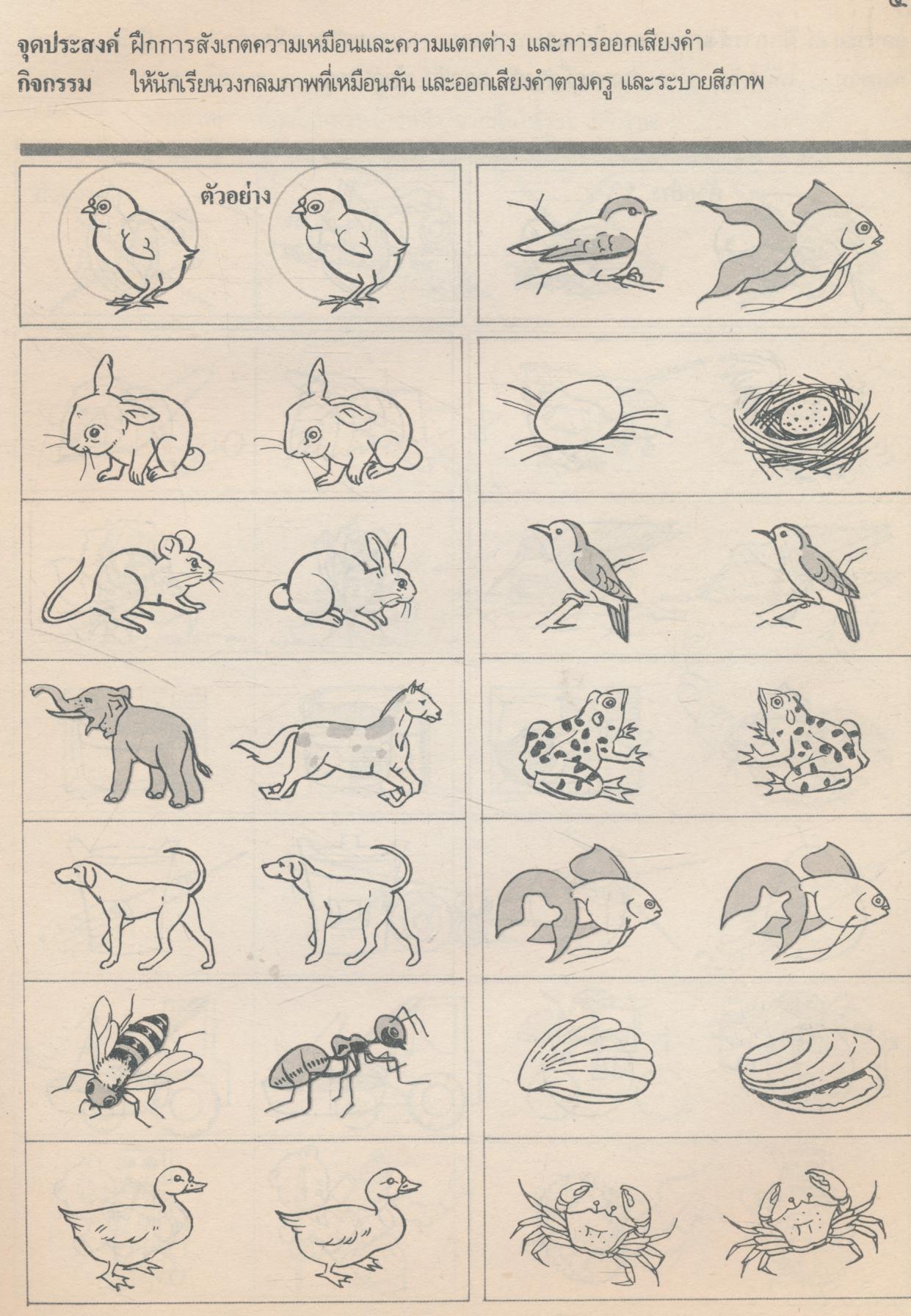 แบบฝึกความพร้อม ภาษาไทย ชั้นเด็กเล็ก