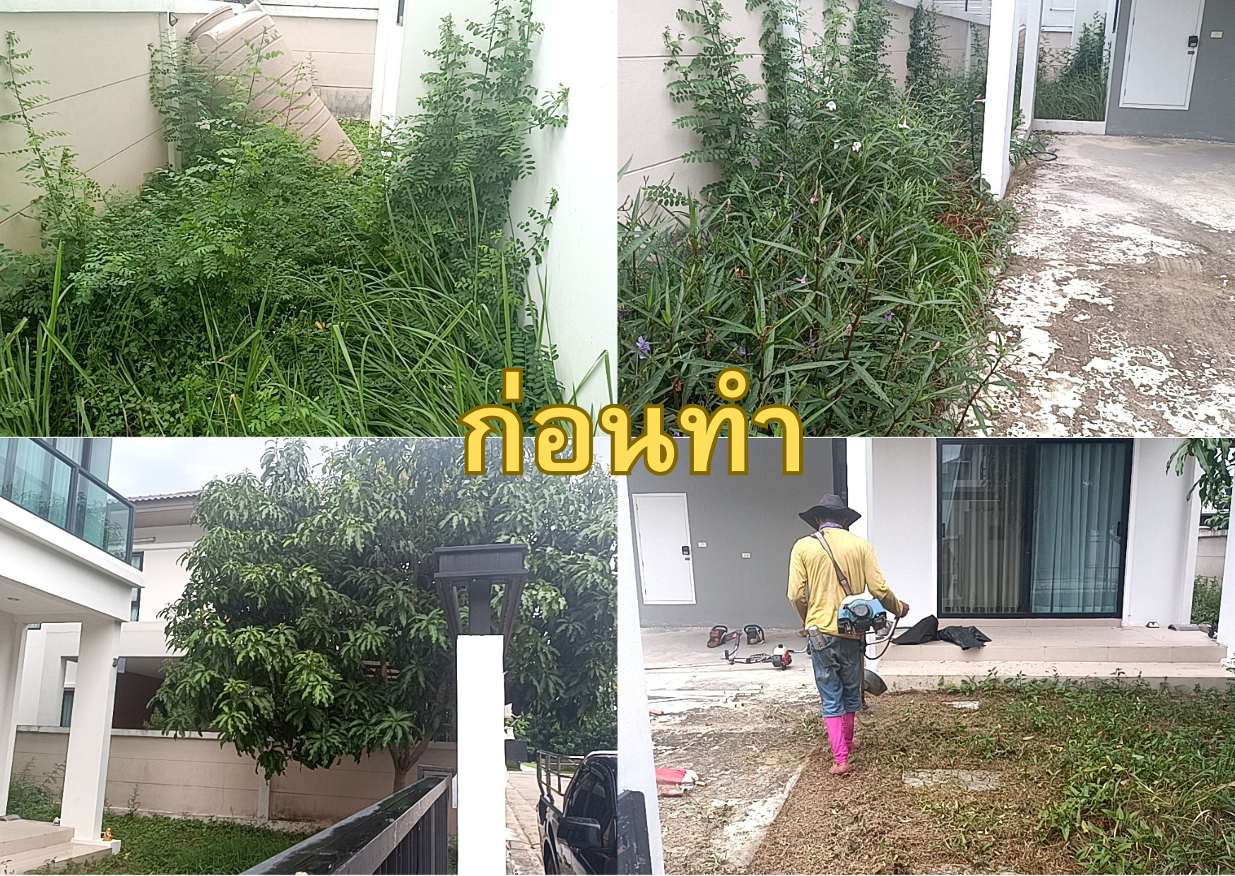 บริการรับตัดหญ้า ตัดแต่งต้นไม้ โทร 094-515-7920