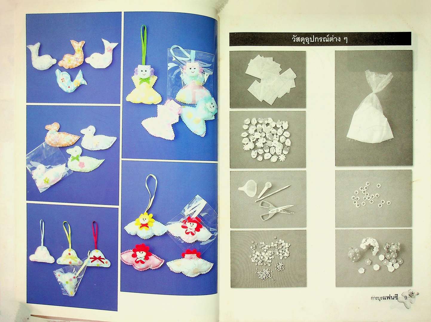 การบูรแฟนชี