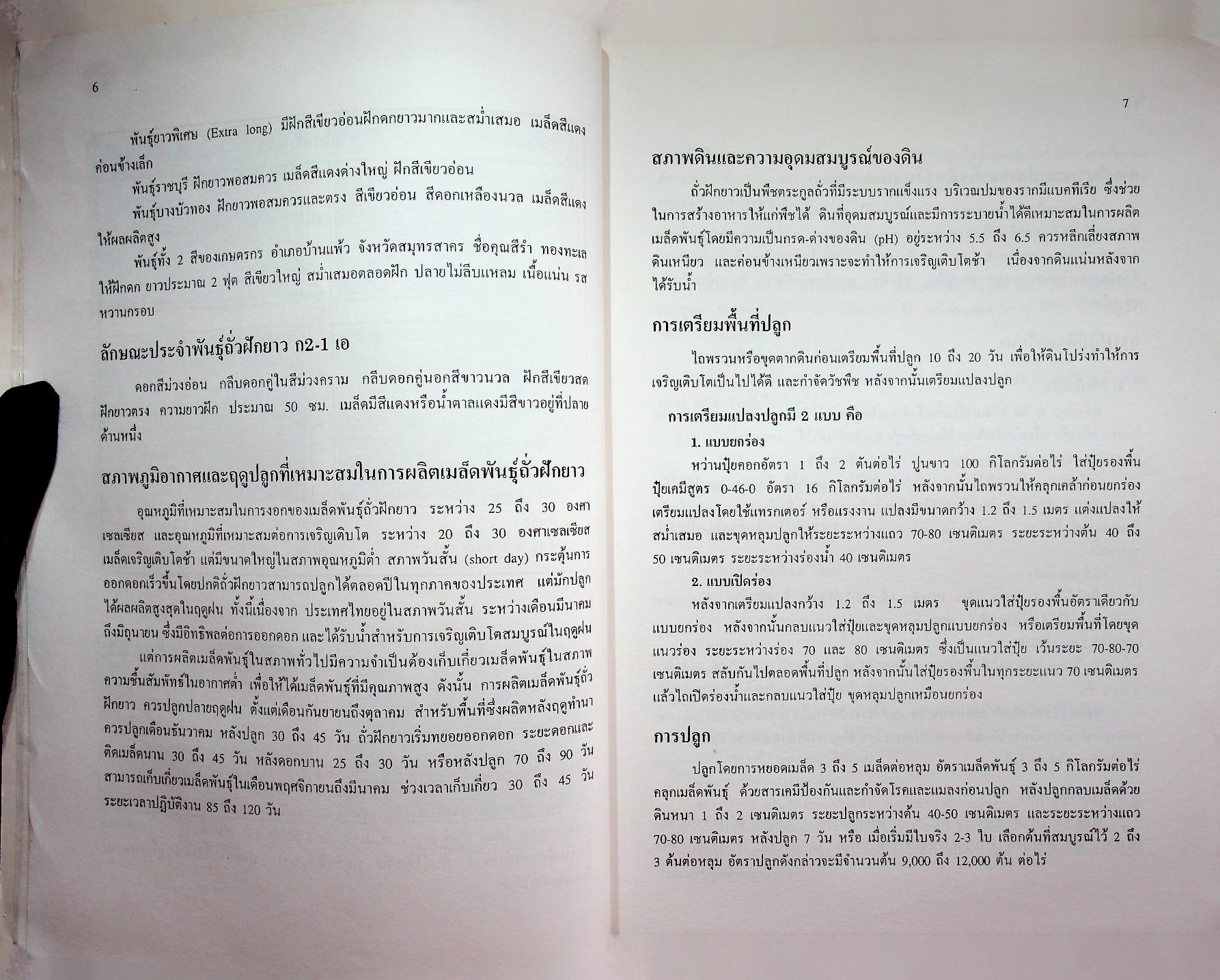 การผลิตเมล็ดพันธุ์ผัก