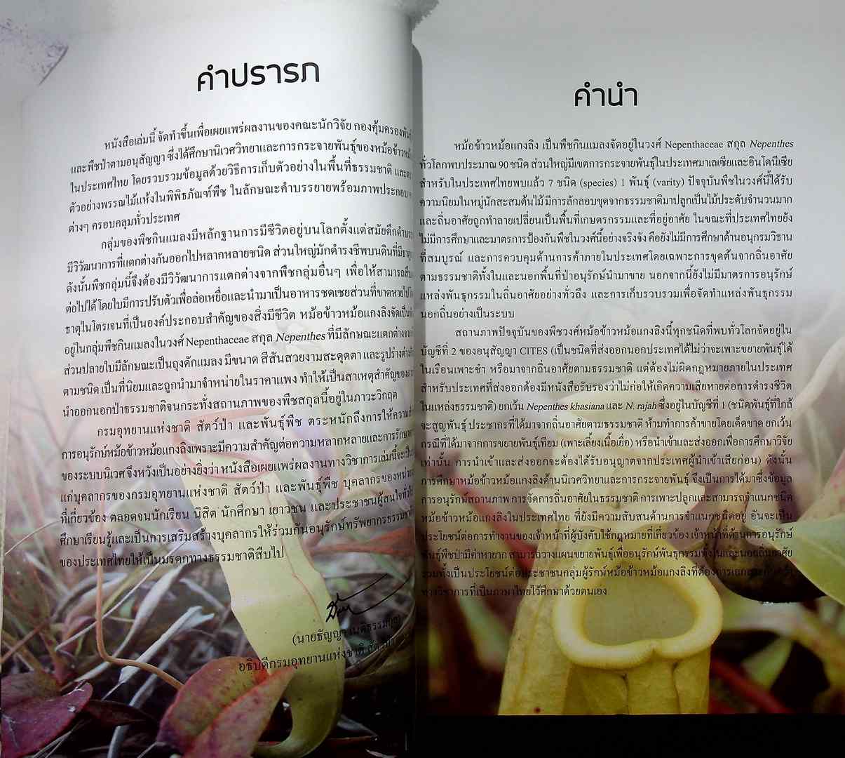 นิเวศวิทยาและการกระจายพันธุ์ของ หม้อข้าวหม้อแกงลิง ในประเทศไทย