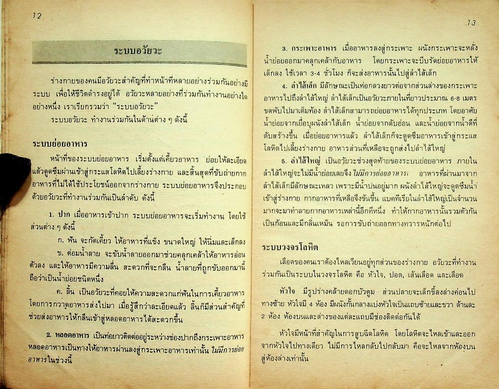 กลุ่มสร้างเสริมประสบการณ์ชีวิต วิชา วิทยาศาสตร์ ป.5 ป.6