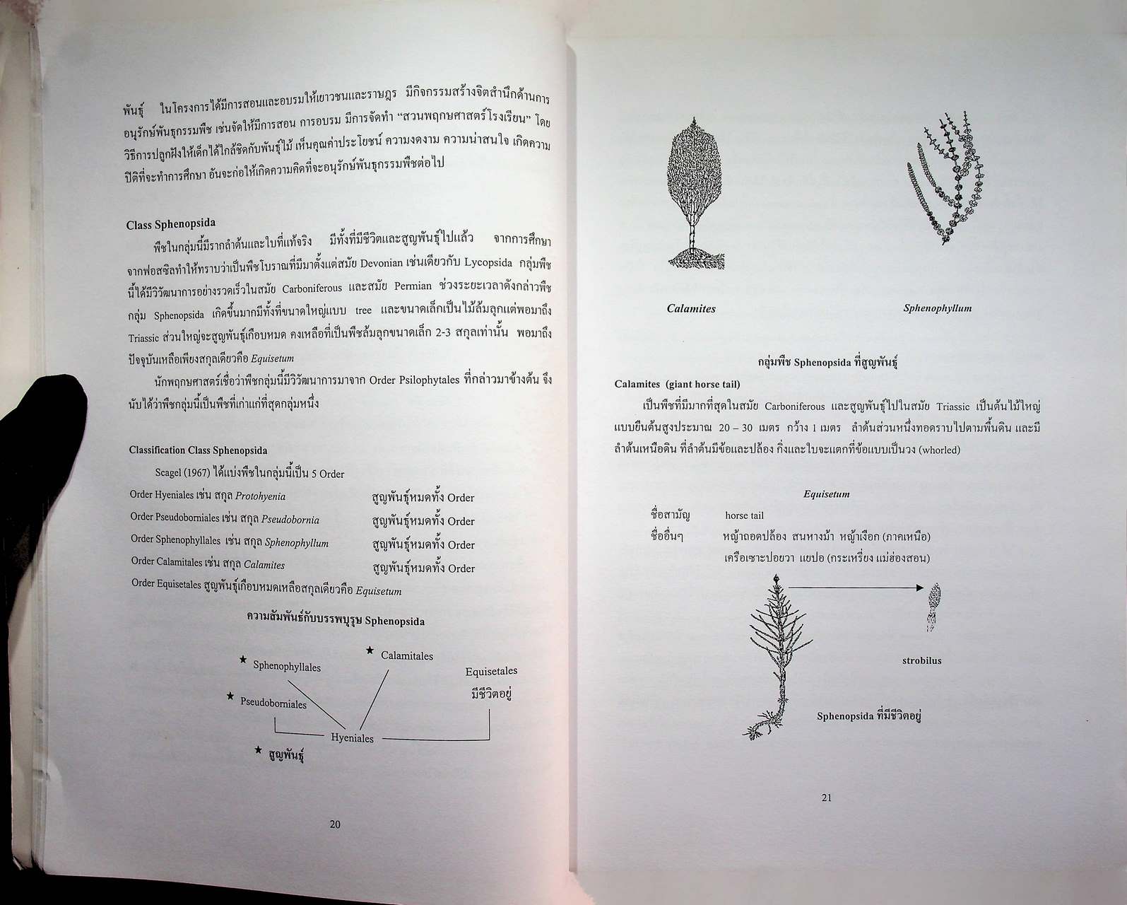 แนวทางในการศึกษาความหลากหลายทางชีวภาพ