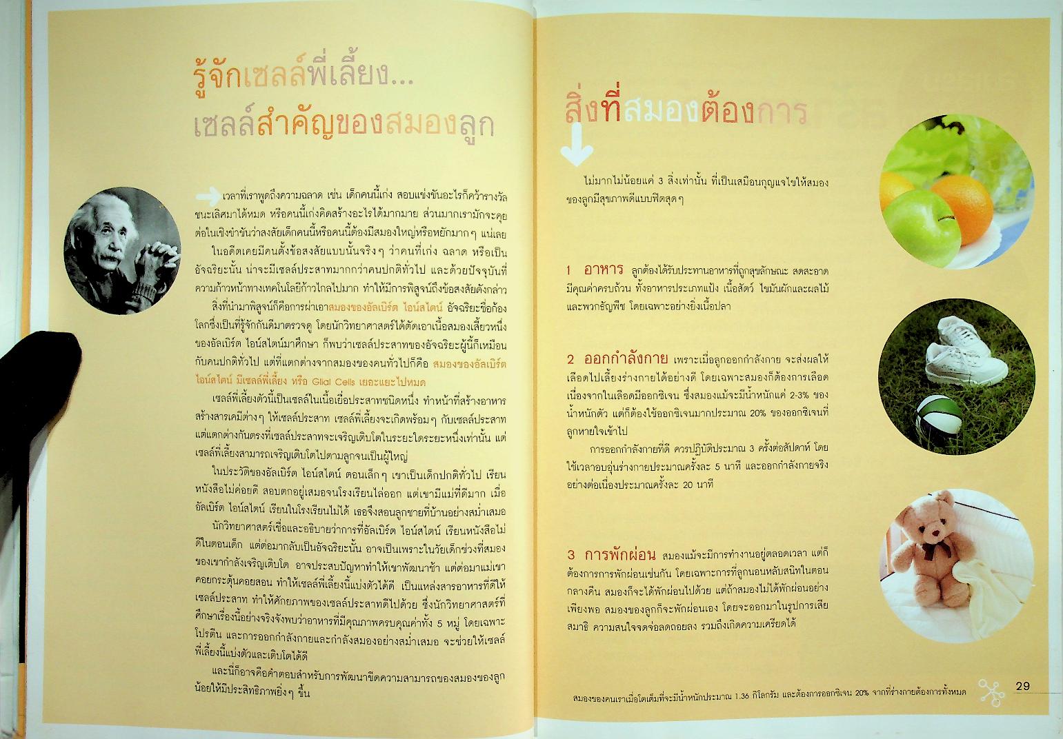 คู่มือพัฒนาสมองลูกด้วยสองมือพ่อแม่