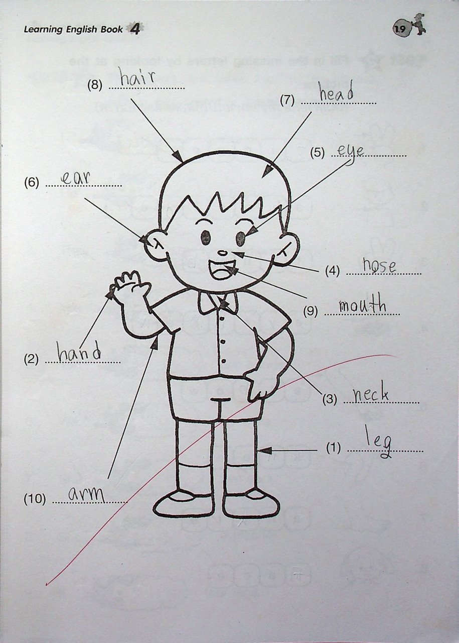 LEARNING ENGLISH BOOK 4 ป.4 (เฉลยไม่มีแล้ว น่าจะหลุดหายไปตั้งแต่เจ้าของเดิม)