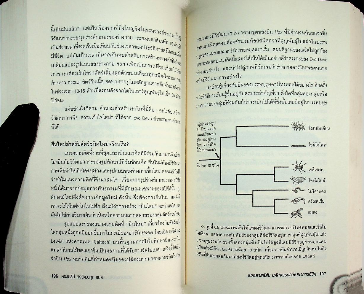 ลวดลายสีสัน มหัศจรรย์วิวัฒนาการชีวิต : Endless Forms Most Beautiful