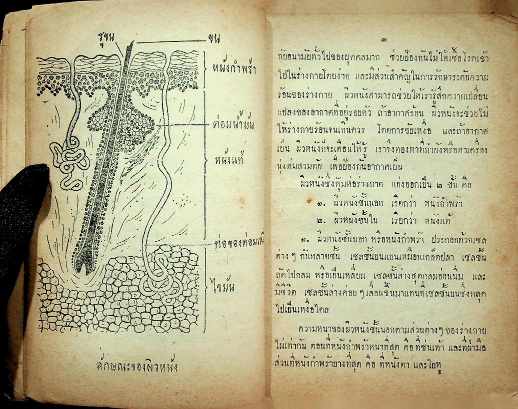 แบบเรียนสุขศึกษา ประโยคมัธยมศึกษาตอนต้น