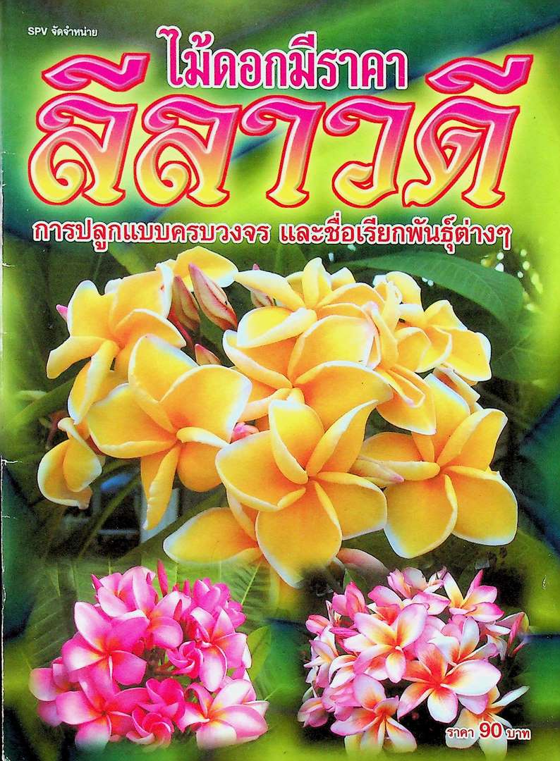 ไม้ดอกมีราคา ลีลาวดี การปลูกแบบครบวงจร และชื่อเรียกพันธุ์ต่างๆ