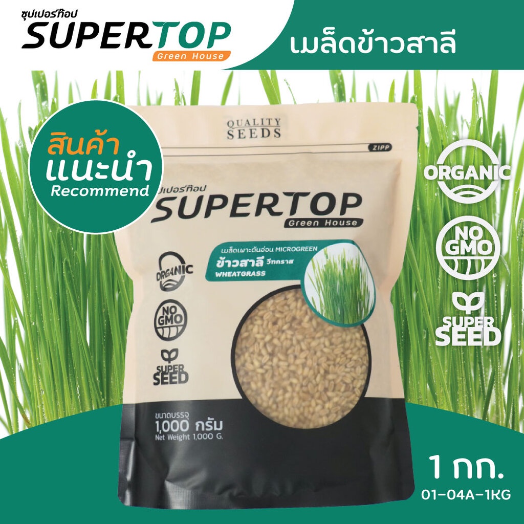 เมล็ดเพาะต้นอ่อน ข้าวสาลี (Wheatgrass Microgreen) SUPERTOP ขนาด 1 KG.