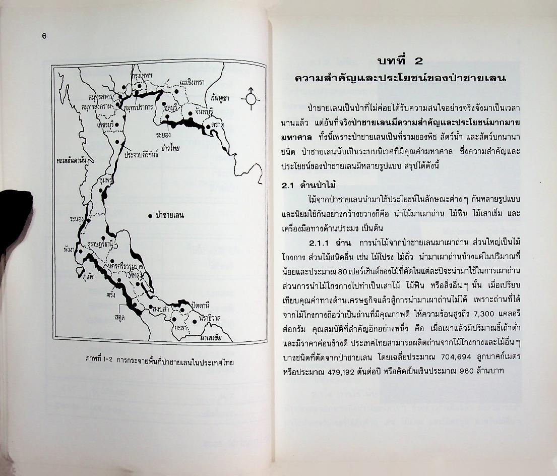 ป่าชายเลน