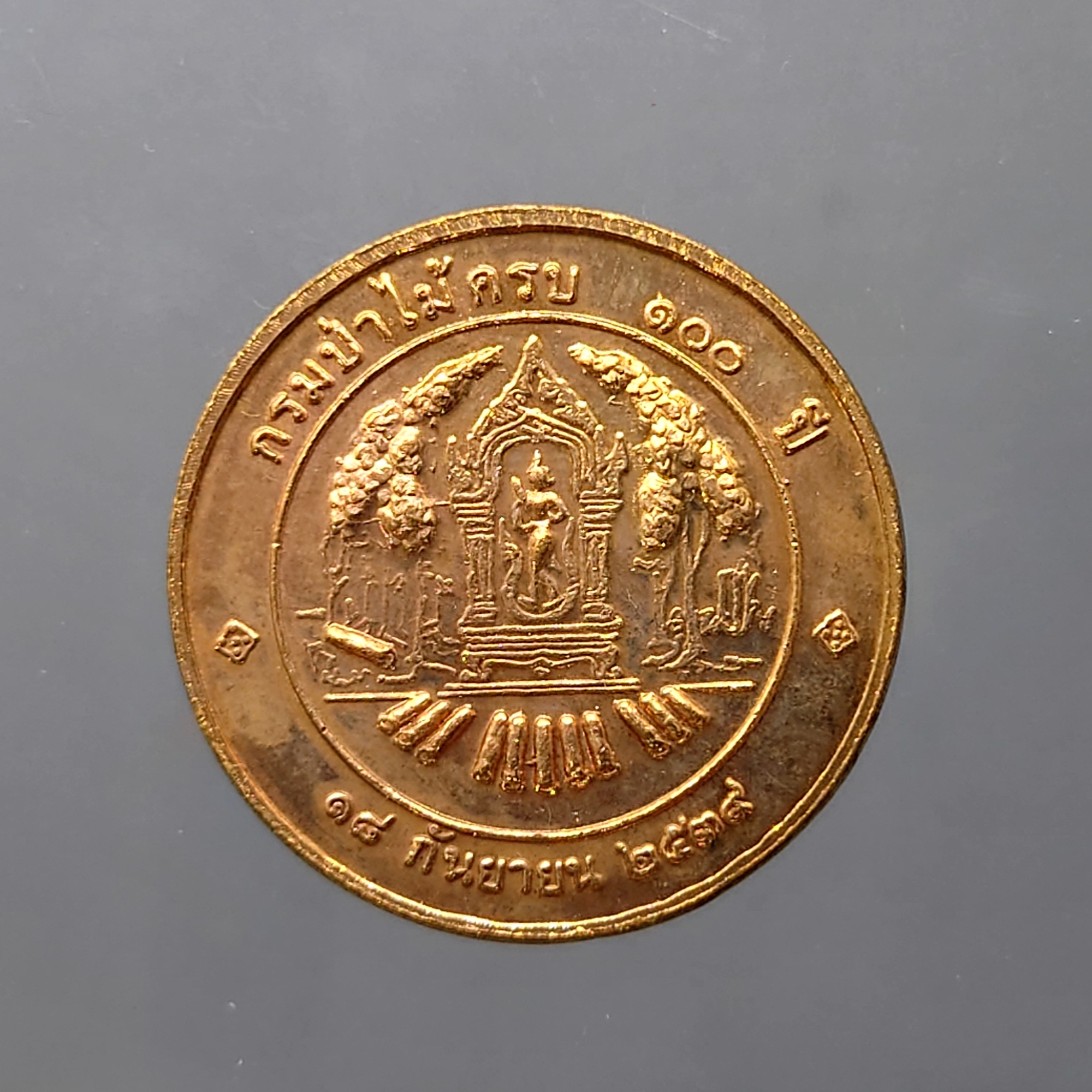 เหรียญที่ระลึกครบ 100 ปี กรมป่าไม้ พระรูปรัชกาลที่5 เนื้อทองแดง ขนาด 3 เซน พ.ศ.2539