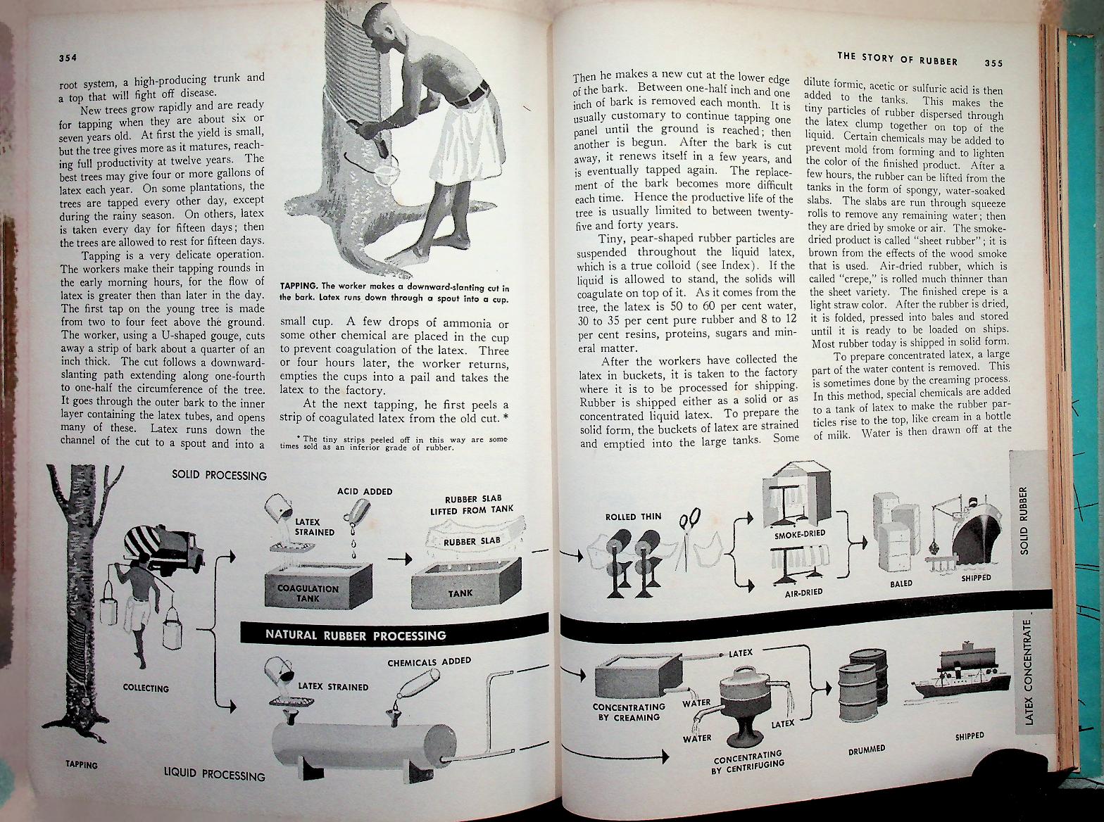 THE BOOK OF POPULAR SCIENCE VOLUME 6