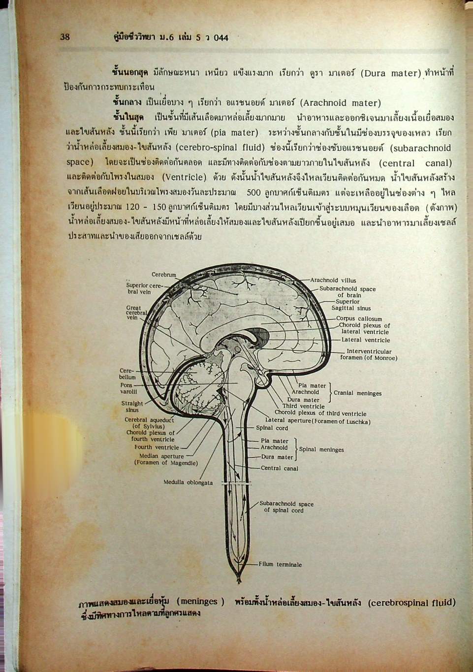 คู่มือเตรียมสอบ ชีววิทยา ม.6 เล่ม 5 ว 044