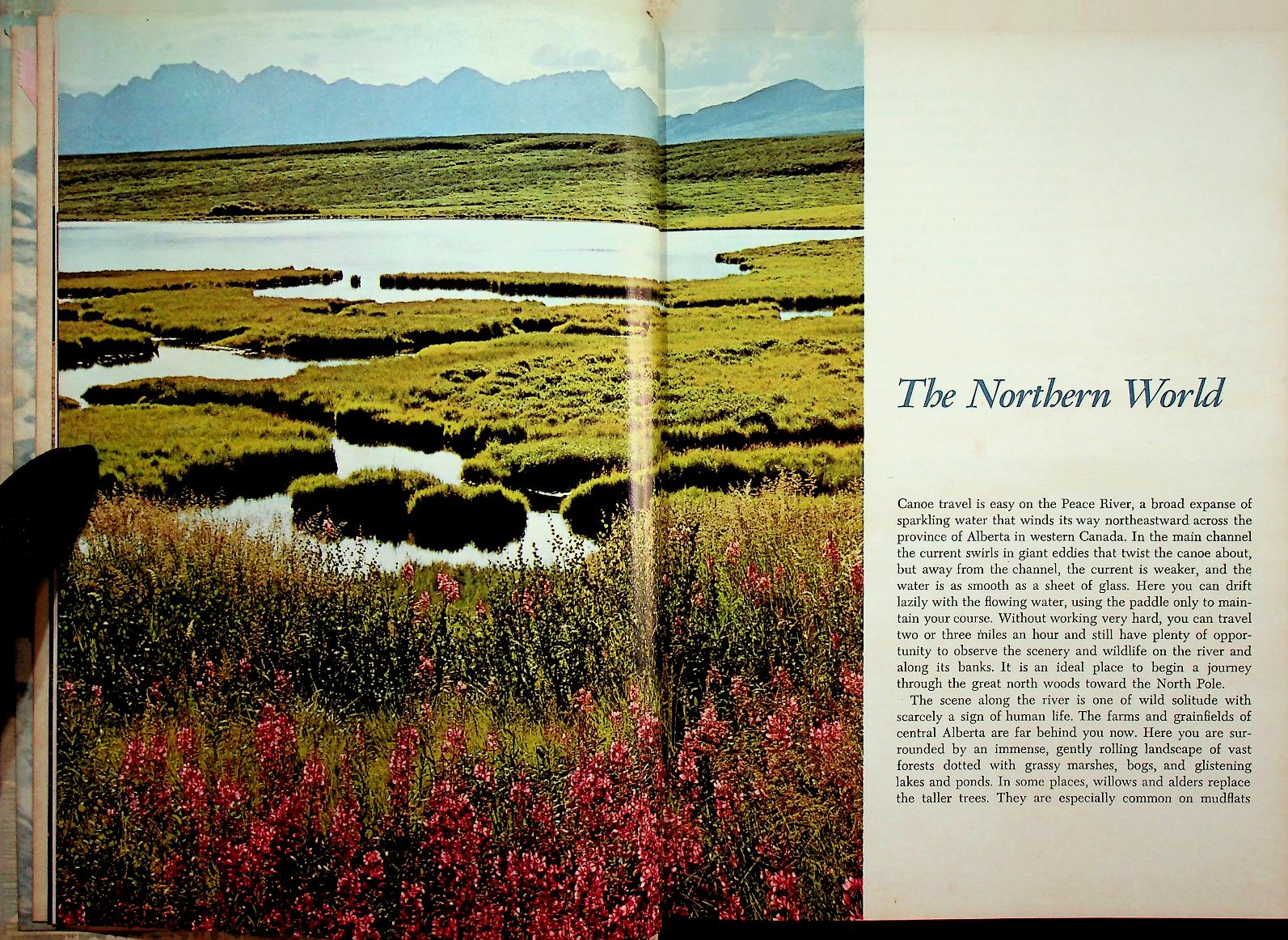 The Life of the Far North