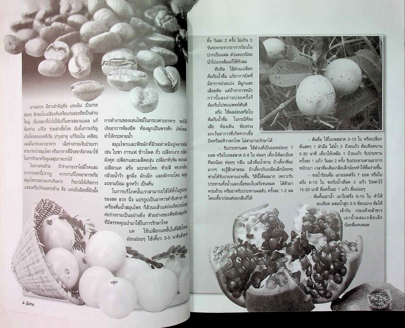 ๑๐๘ สมุนไพรไทย