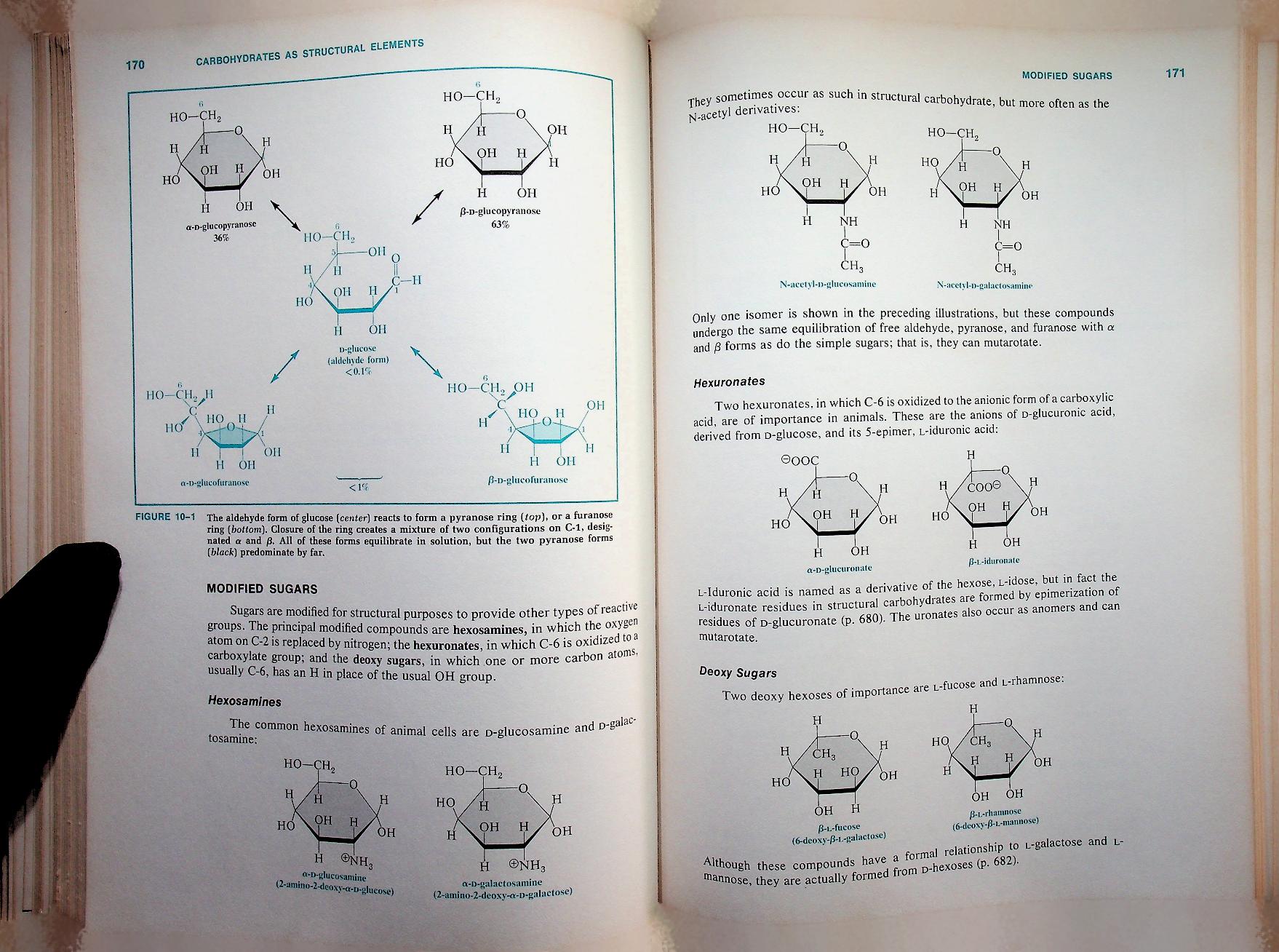 BIOCHEMISTRY A Functional Approach