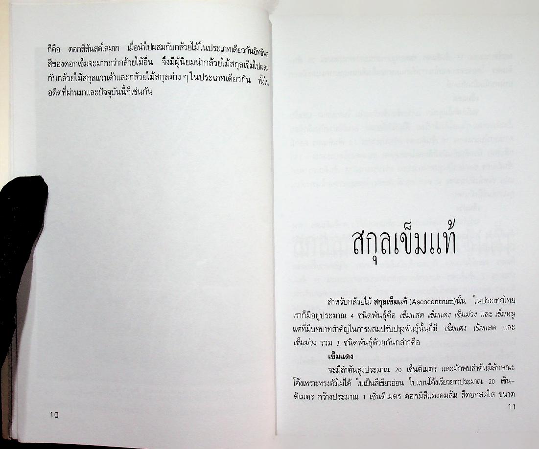 กล้วยไม้สกุลเข็ม