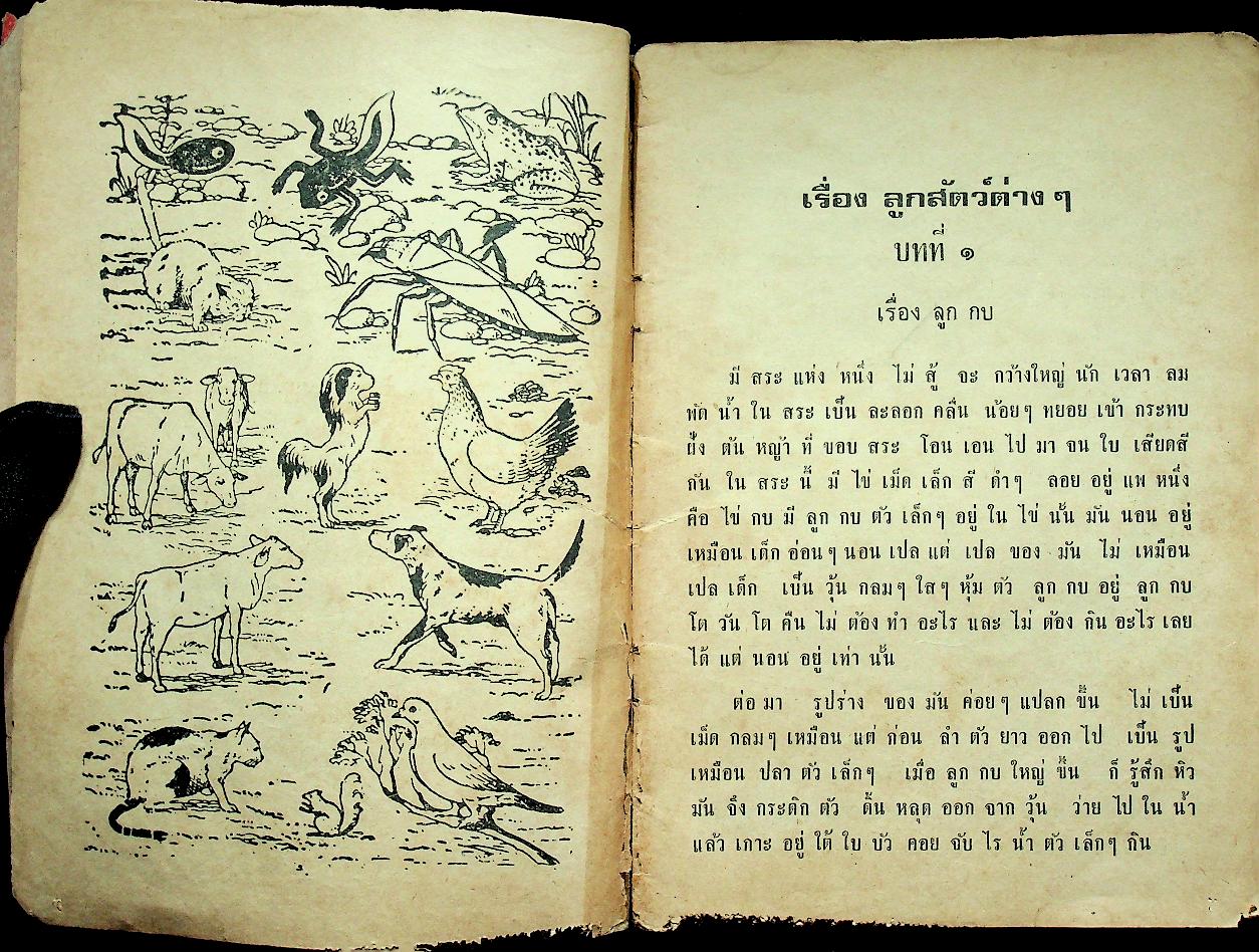 หนังสืออ่านชุดภาษาไทย อันดับ ๑ เล่ม ๓ เรื่อง ลูกสัตว์ต่างๆ สำหรับชั้นประถมตอนต้น