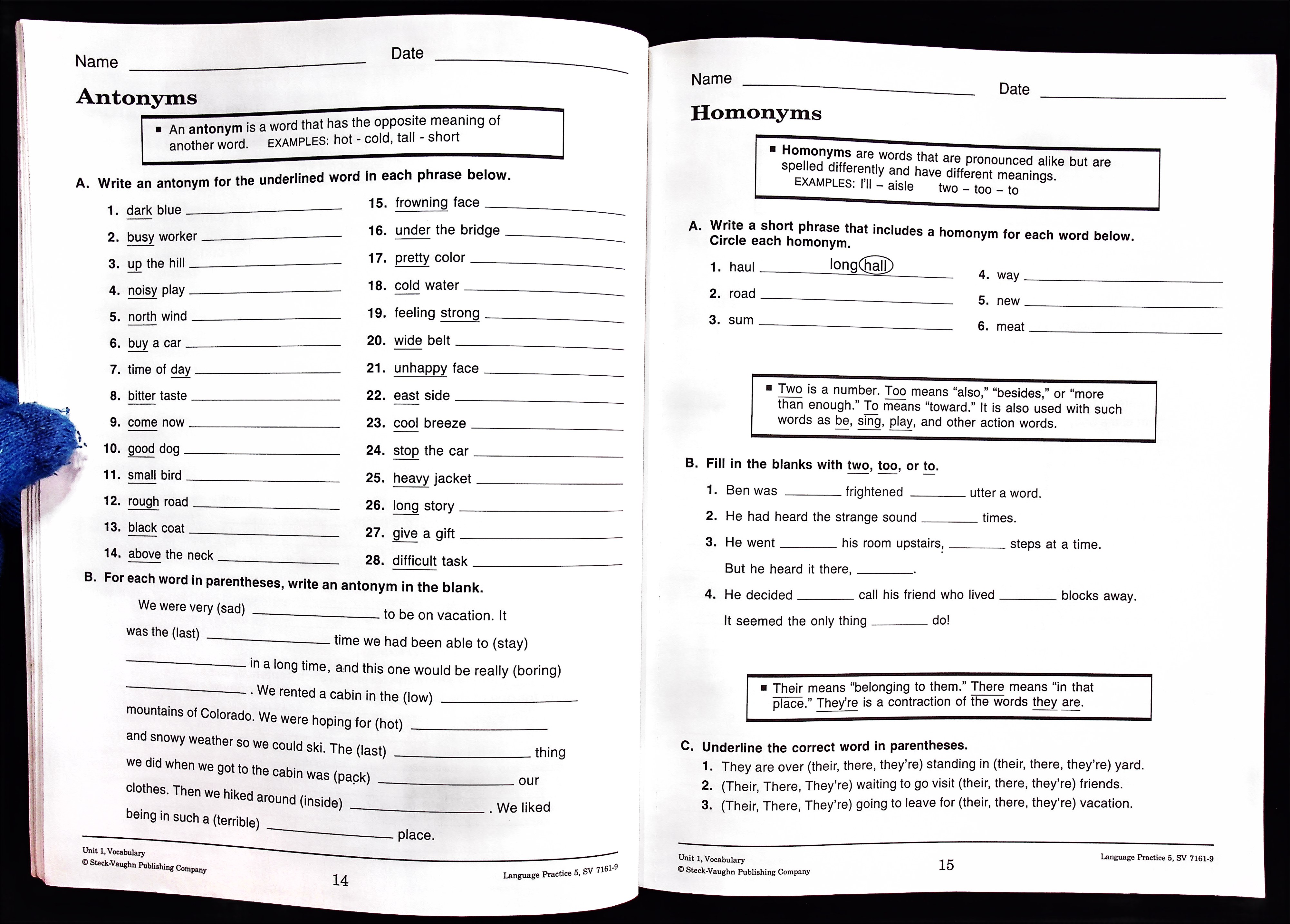 LANGUAGE PRACTICE Grade 5