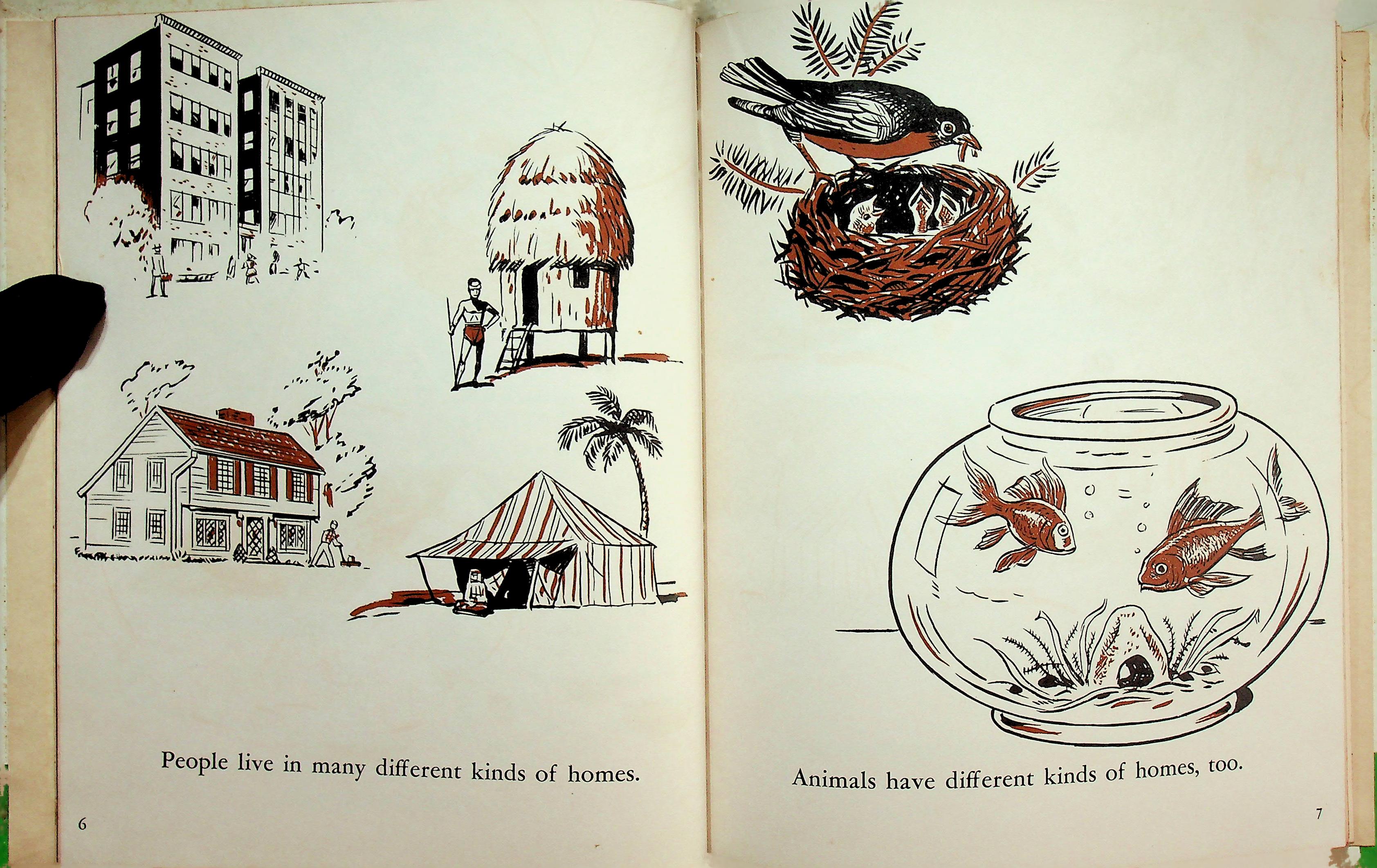 LET'S FIND OUT ABOUT ANIMAL HOMES