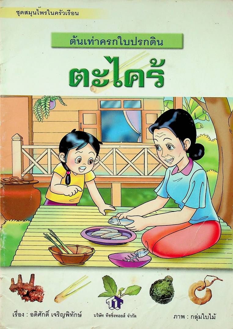 ชุดสมุนไพรในครัวเรือน ต้นเท่าครกใบปรกดิน ตะไคร้