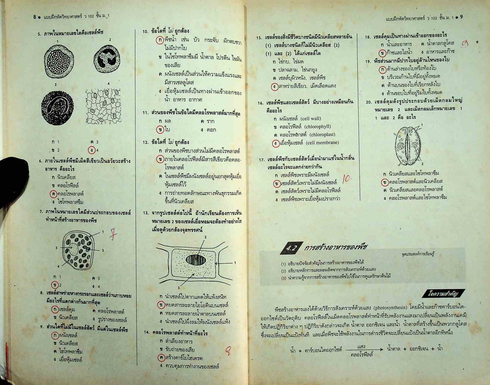 คู่มือครู-เฉลย แบบฝึกหัด วิทยาศาสตร์ ว 102 ชั้นมัธยมศึกษาปีที่ 1 ภาคเรียนที่ 2