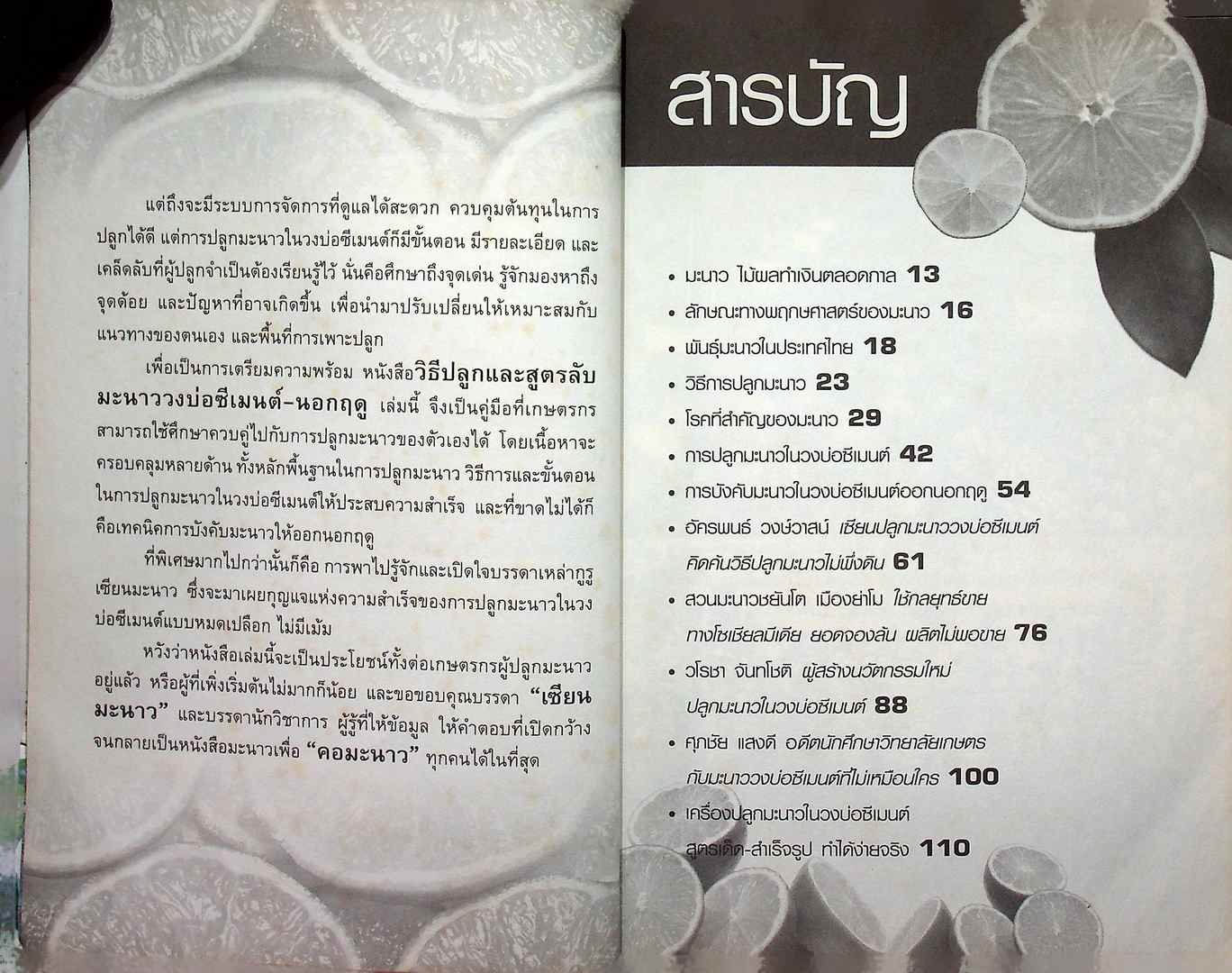 วิธีปลูกและสูตรลับมะนาว วงบ่อซีเมนต์-นอกฤดู