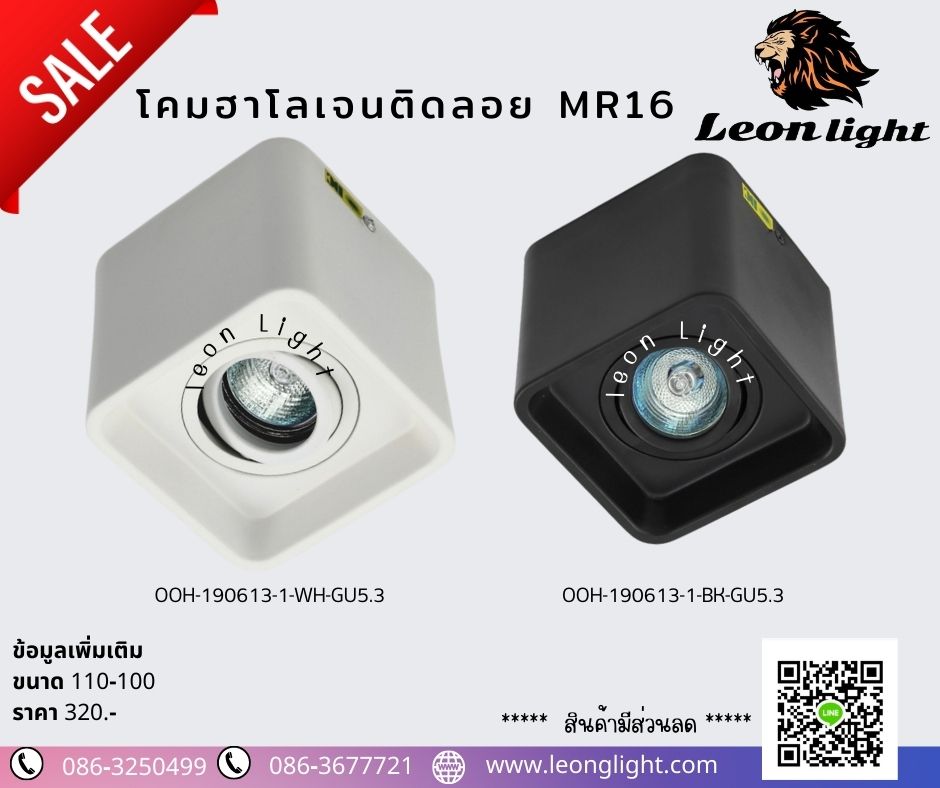 G-โคมดาวน์ไลท์ติดลอยฮาโลเจน