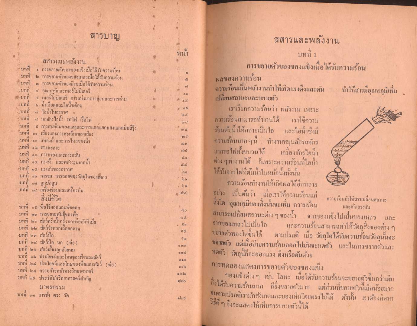 วิทยาศาสตร์เบื้องต้น ป.๖