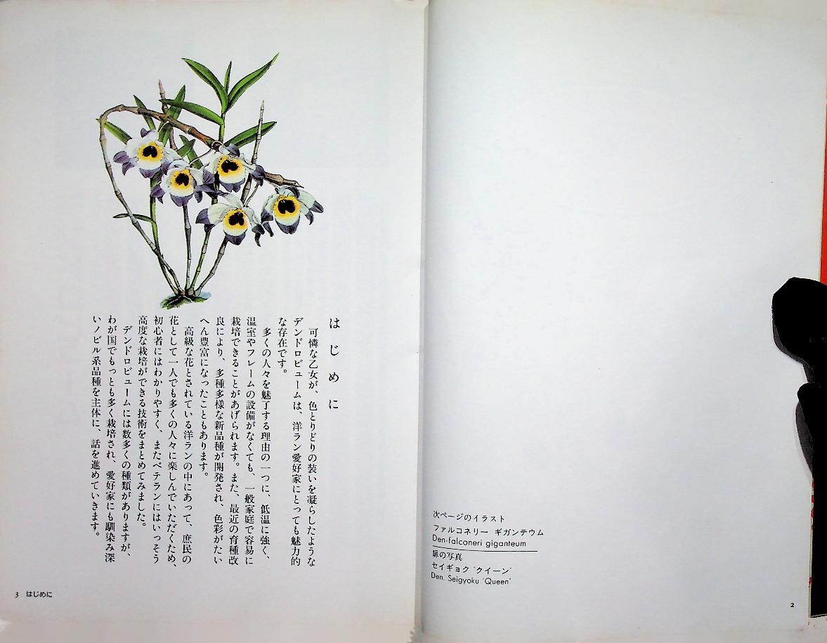 JOYFUL GREEN LIFE : Dendrobium (ดอกกล้วยไม้หวาย ฉบับภาษาญี่ปุ่น)